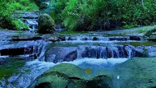 Bubble Brook Soundscape - Rest and Relax in Nature | sleep - relax - enjoy life - ASMR