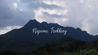 Sri Lanka - Knuckles Forest Reserve - Nipuna Trekking