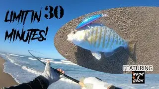 EP58 Limit in 30 mins! Perch Fishing with @Hook2Cook - VINCE GOES FISHING