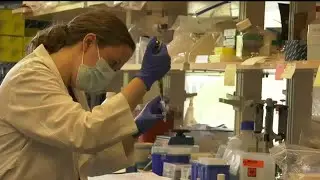 Virginia Department of Health announces statewide outbreak of meningococcal disease