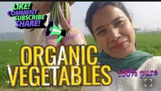 Organic vegetable🥦🫛🌽#viralvlog #trendingvlog ytvlog #youtubevideo youtubevlog