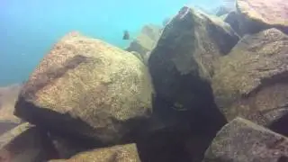 Ndole bay Lodge Scuba Diving 604x360