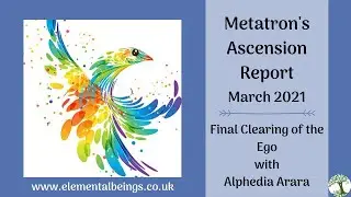 Metatron's Ascension Report March 2021| Alphedia Arara