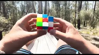 Wombat Cubes Presents: Solving in the Wild