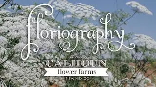 Floriography 80/20