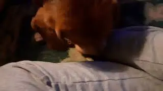 Maxys reaction to new phone/camera