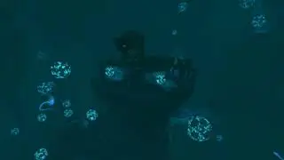 In the Deep Grand Reef (w/ in-game ambience & no music)