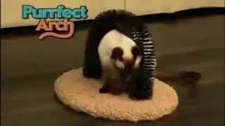 Purrfect Arch Cat Self-groomer & All-in-One Massager