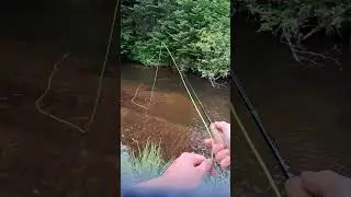 Fly Fishing Pine River