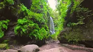 4K HDR Earthscapes 🌍 | Ultra HD Dolby Vision with Relaxing Music
