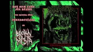 Svaveldioxid - Det Som Inte F&aring;r H&auml;nda