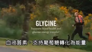 PetKind Green Tripe 無穀物乾糧系列