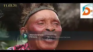 Sekuru Moyana Live veku Guruve vanorapa nekurombesa NUMBER +263788800109
