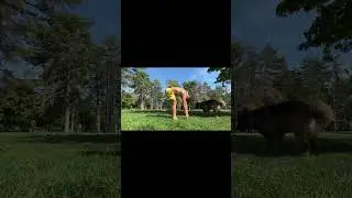 Movement Flow 10 minutes
