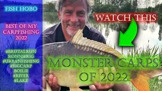Top 10 carp run fishing 2022 łowienie karpi karpfen ageln dziesięć najlepszych ujęć karpia #fishhobo
