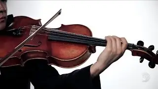 D'Addario: Helicore Viola Strings