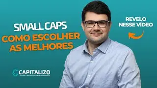 SMALL CAPS | SAIBA COMO ESCOLHER AS MELHORES SMALL E MICRO CAPS PARA SUA CARTEIRA DE A&Ccedil;&Otilde;ES
