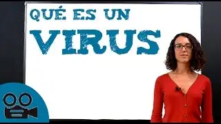 Qu&eacute; es un virus