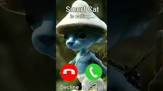 Smurf cat is calling...