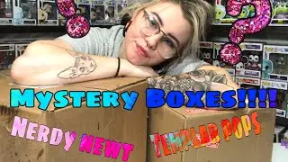 Opening a $300 Nerdy Newt Guaranteed Grail Mystery Box and a Templar Pops Mystery Box