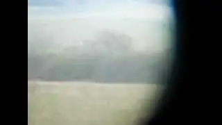 Short earred owl hunting