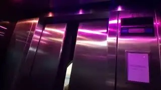 Dover Impulse hydraulic glass elevator at the American Museum of Natural History (Manhattan, NY)