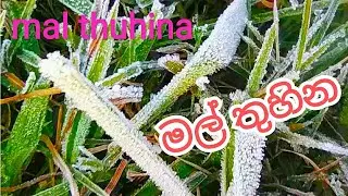 Malthuhina in nuwara eliya
