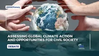 Intervention President Lohan on Assessing global climate action and opportunities for civil society