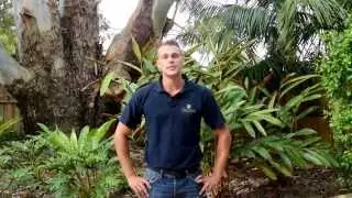 Welcome from the Owner of Tectonic Landscapes