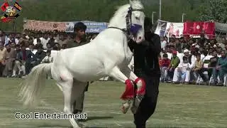 Troops Family Festival by Cool Entertainment