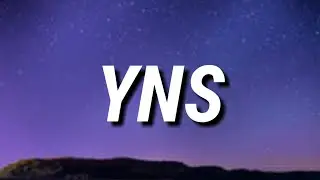 Pi'erre Bourne - YNS (Lyrics)