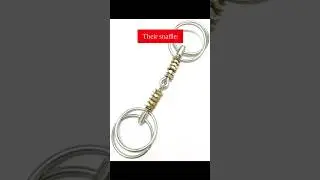 Can't believe equestrians get away with this... #horse #horsewelfare #equestrian #horsebits