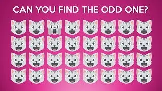 Can You Spot The Odd Cat - Find The Odd Out Cat