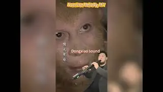 Five hundred years of great changes, Pipa and Dongxiao sound show of Sunrise Melody M7 EWI