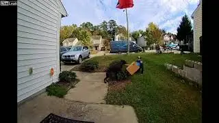 AMAZON DRIVER ATTACKED BY PITBULL