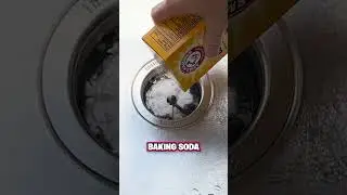 How to Clean Your Garbage Disposal! 💧