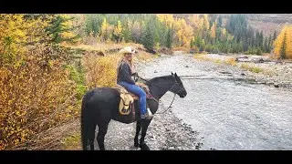 Lisa Roper Outdoors