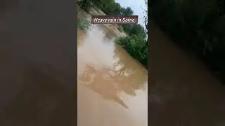 Heavy Rain in MP #shorts #ytshorts #trending #rain #mp #travel #heavyrain #news #nature