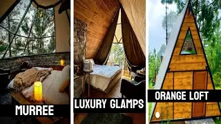 Orange loft | Murree | Bansra gali | TDCP | best place for family tour