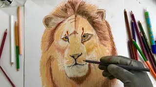Drawing The Lion King | SIMBA | Time Lapse #44