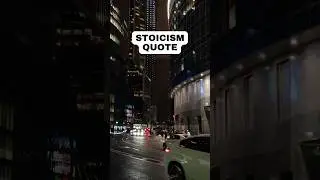 What Is Stoicism Doing To Help Us Master Our Thoughts #StoicMind #SelfMastery #Shorts