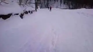 Discesa su strada forestale