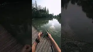 What Happens When You Use the LUCKIEST Fishing Rod Ever? #shorts