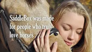 SaddleBox