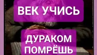 Побочки от БАДов. Бета&ndash;аланин.