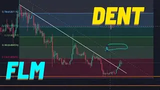 FLM COIN - DENT COIN ANALİZİ | ALTCOIN ANALİZLERİ