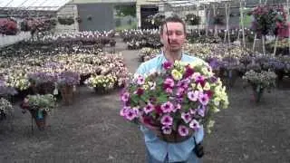 Coco Liner Baskets and Planters for Mother's Day
