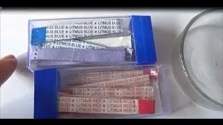 Action of Red and Blue Litmus Paper on Acid and Alkali - Experiment