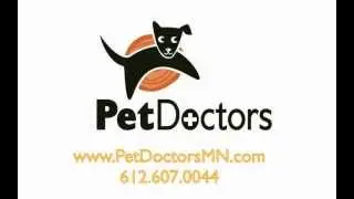 Vet Clinic Minneapolis Cost Effective Pet Care in Minneapolis