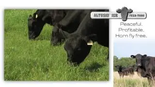 Altosid IGR 2013 Commercial